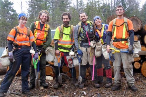 the six-member tree planting crew of Brinkman and Associates plant white and red pine near Plevna for Mazinaw Lanark Forest Inc. L-r, Leah Boyd, Josh Brown, Tom Higgins, Mike Homewood, Vanessa Murphy and Jordan Wiebe